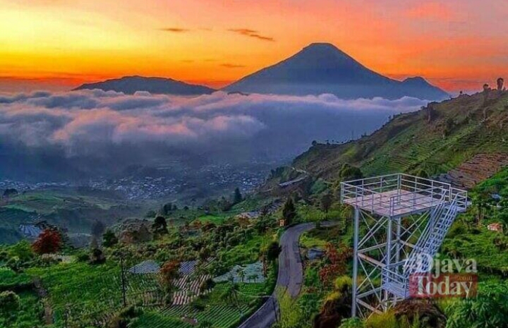 Zona Sunrise